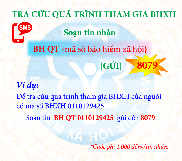 Người dân có thể tra cứu quá trình đóng, hưởng BHXH, BHYT qua dịch vụ tin nhắn ảnh 3