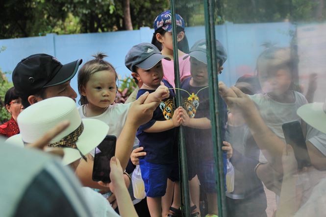 Người dân Sài Gòn mắc võng, nấu ăn trong Thảo Cầm Viên ảnh 9