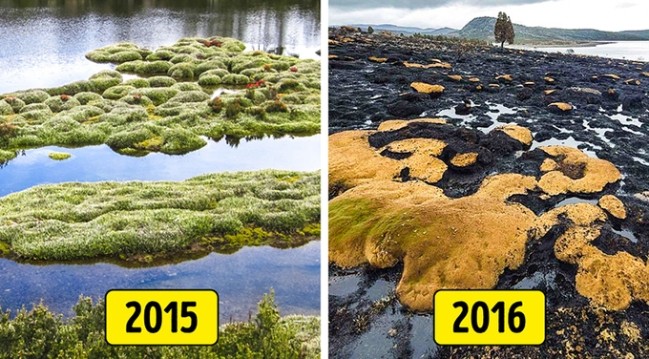 7 địa danh nổi tiếng bị con người phá hoại trong thời gian gần đây ảnh 6