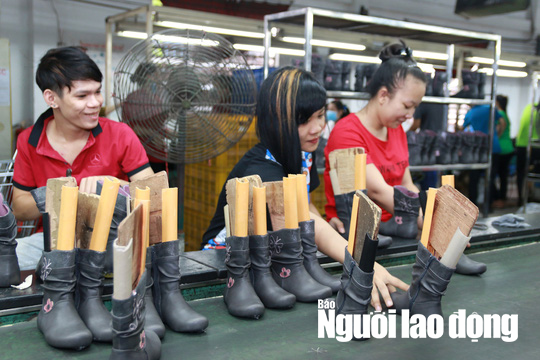 Tăng tuổi nghỉ hưu: Có bao nhiêu người được cầm sổ hưu? ảnh 1