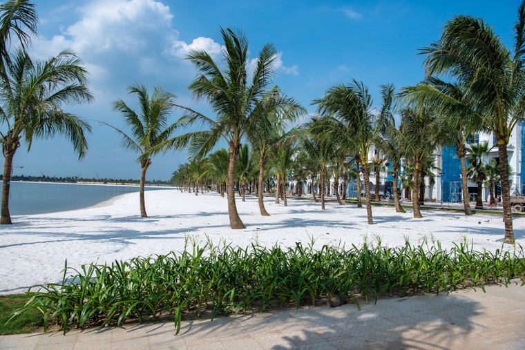 'Choáng' trước tiến độ 'thần tốc' tại dự án Vinhomes Ocean Park ảnh 4