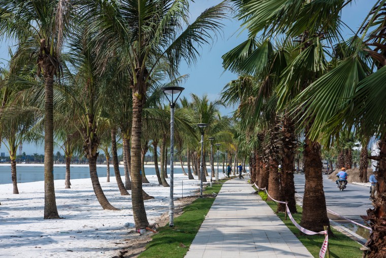 'Choáng' trước tiến độ 'thần tốc' tại dự án Vinhomes Ocean Park ảnh 6