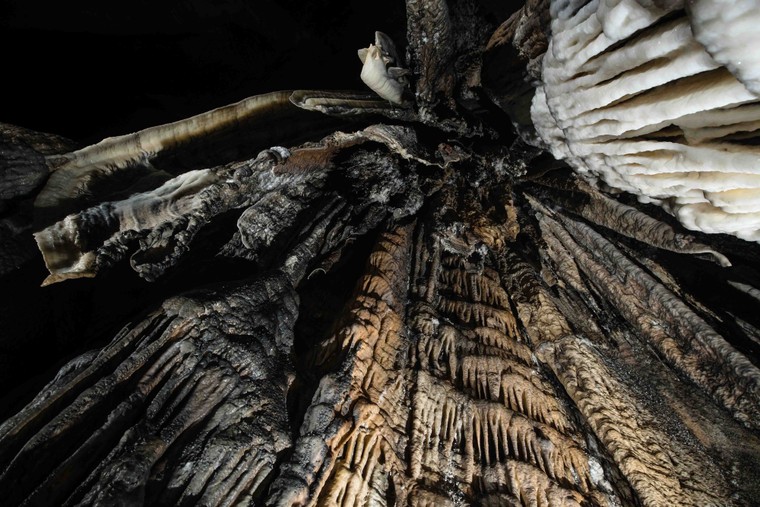 Vẻ đẹp của Động Thiên Đường - điểm đến du lịch hấp dẫn của cả khu vực và thế giới ảnh 4