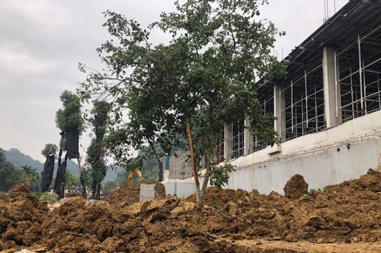 Di sản Tràng An đang bị ‘bê tông hoá’? ảnh 4