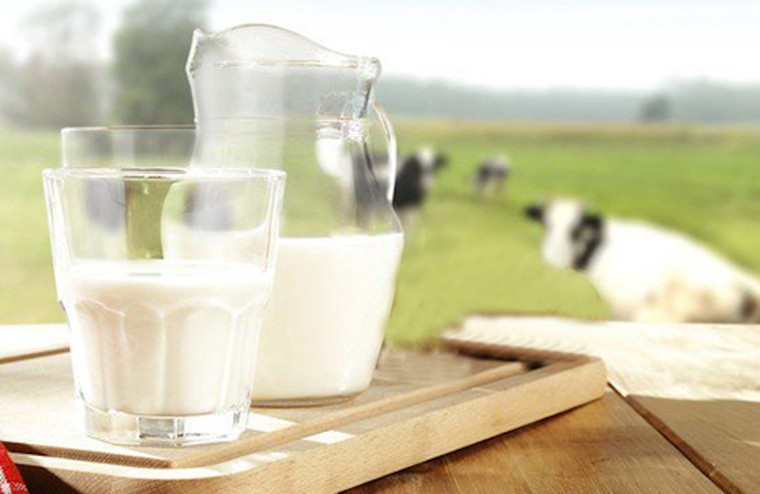 Những điều cần biết về dị ứng sữa bò ở trẻ em ảnh 1