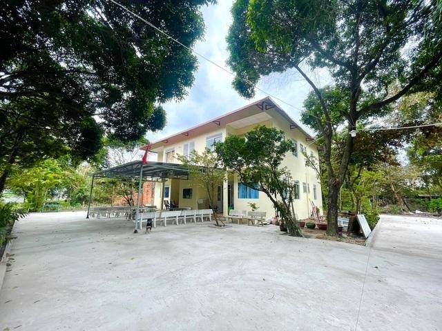 Lý Hùng, Lý Hương bật khóc khi hoàn thành di nguyện của cố NSND Lý Huỳnh ảnh 3