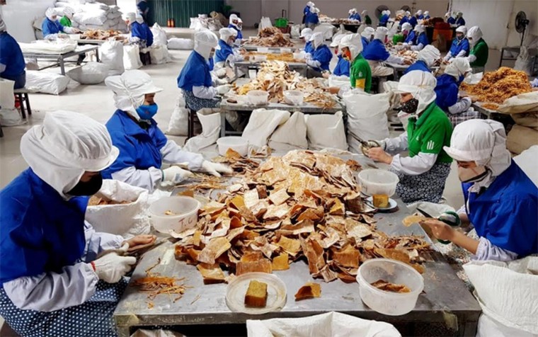 Phát triển kinh tế tư nhân: Cơ quan quản lý cần thay đổi thái độ ứng xử, cung cách phục vụ ảnh 1