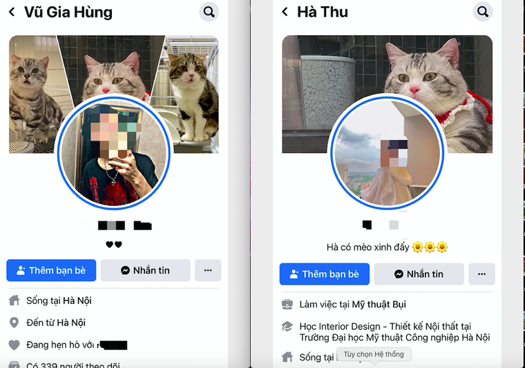 Công an vào cuộc truy tìm đôi nam nữ táo tợn vào tận nhà lừa người già ảnh 2