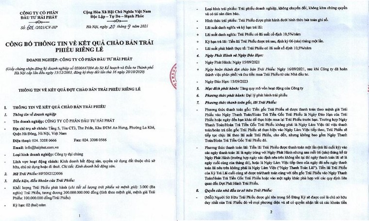 Trái phiếu của Hải Phát Invest: Nỗi lo 'bong bóng xà phòng' ảnh 1