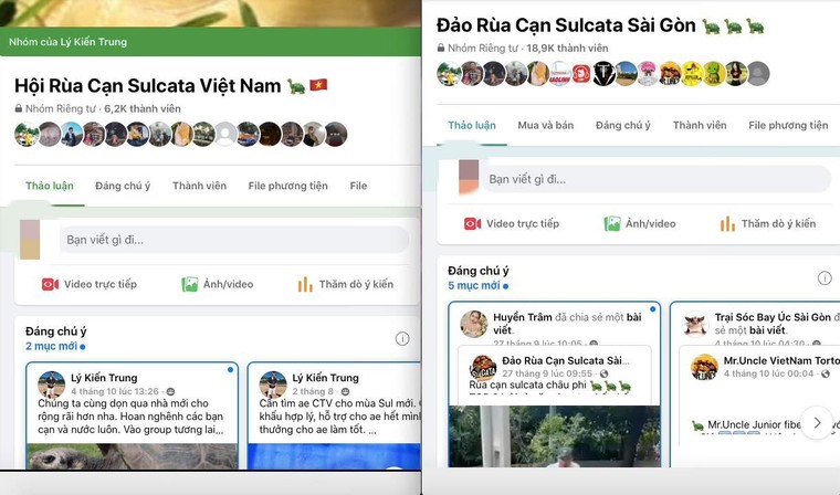 Nhức nhối vấn nạn mua bán, nuôi nhốt trái phép các loại rùa cạn quý hiếm ảnh 1