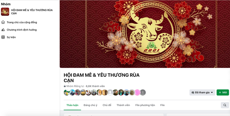 Nhức nhối vấn nạn mua bán, nuôi nhốt trái phép các loại rùa cạn quý hiếm ảnh 2