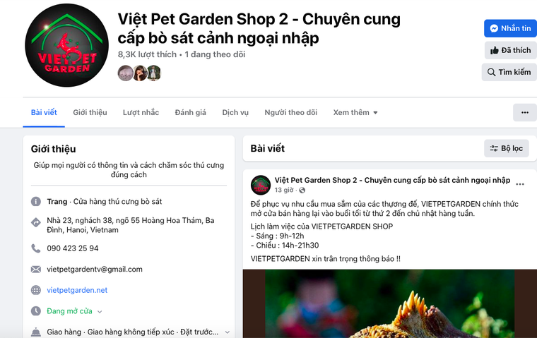 Nhức nhối vấn nạn mua bán, nuôi nhốt trái phép các loại rùa cạn quý hiếm ảnh 5