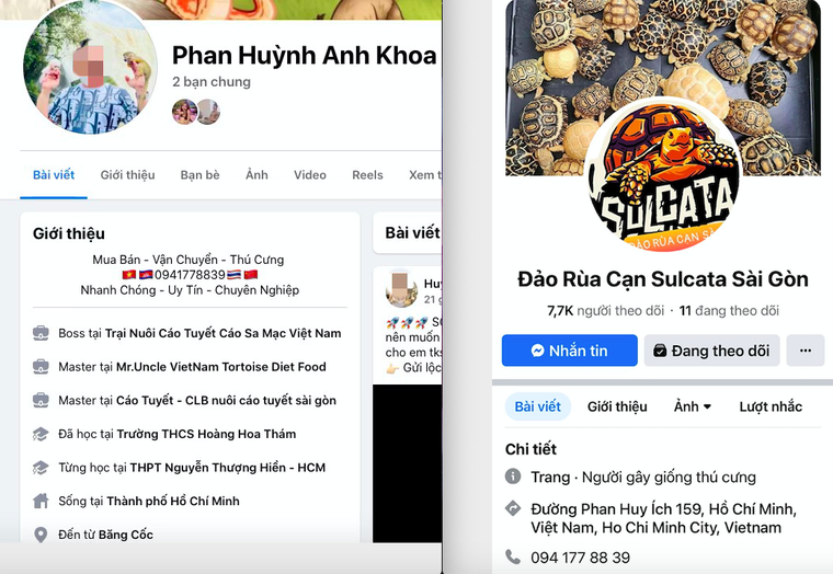 Nhức nhối vấn nạn mua bán, nuôi nhốt trái phép các loại rùa cạn quý hiếm ảnh 7