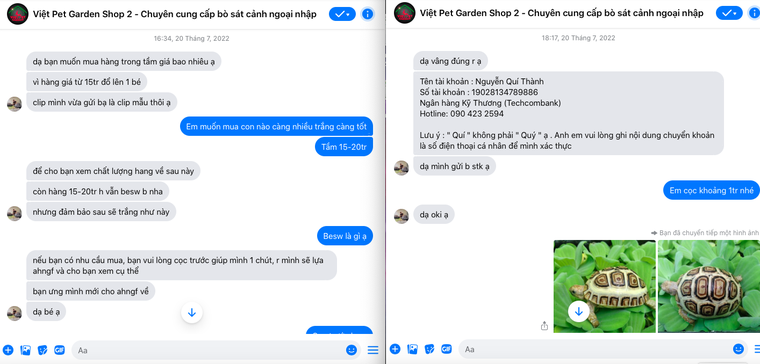 Nhức nhối vấn nạn mua bán, nuôi nhốt trái phép các loại rùa cạn quý hiếm ảnh 4