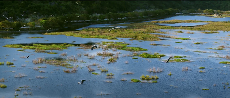 Nhiều mộ cổ, cổ vật quý được phát hiện tại Di tích Quốc gia Tam Chúc ảnh 2