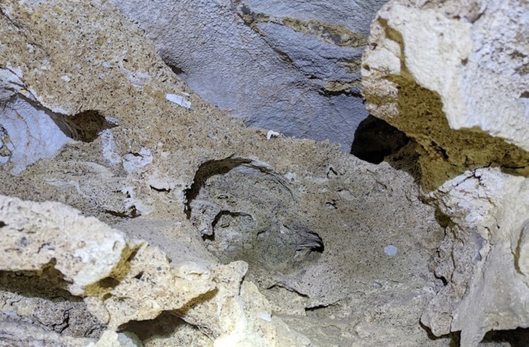 Nhiều mộ cổ, cổ vật quý được phát hiện tại Di tích Quốc gia Tam Chúc ảnh 5