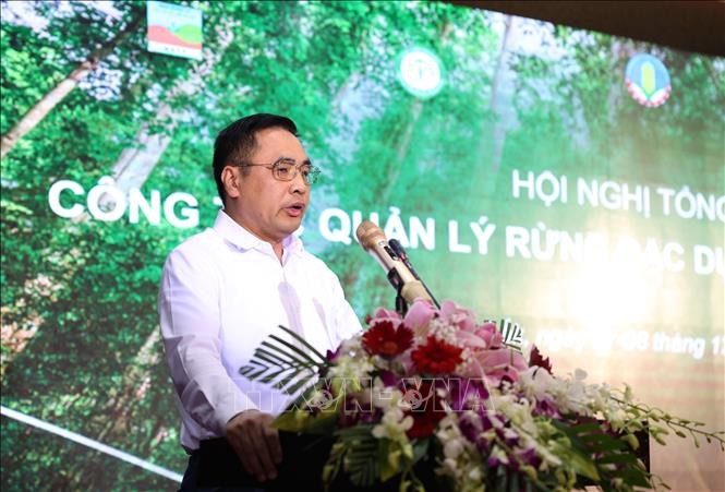 Hoàn thiện cơ chế, chính sách để quản lý bảo vệ rừng đặc dụng, rừng phòng hộ ảnh 1