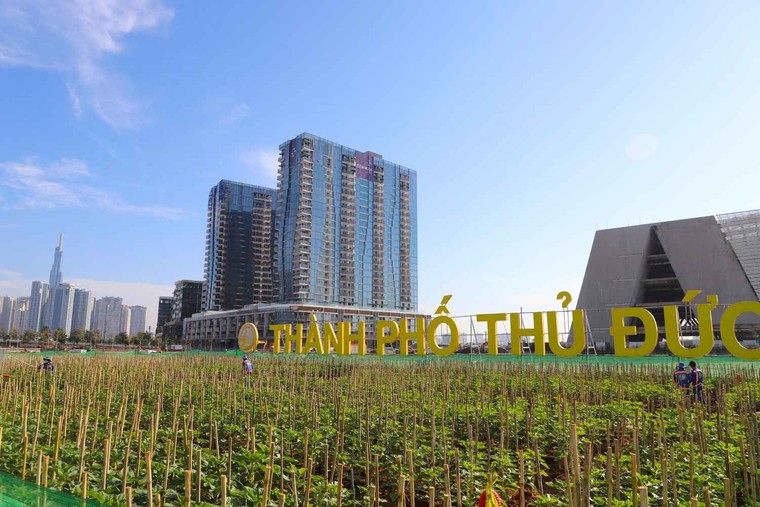 TP.HCM: Công viên bờ sông Sài Gòn sẽ phục vụ người dân dịp Tết Dương lịch 2024 ảnh 3