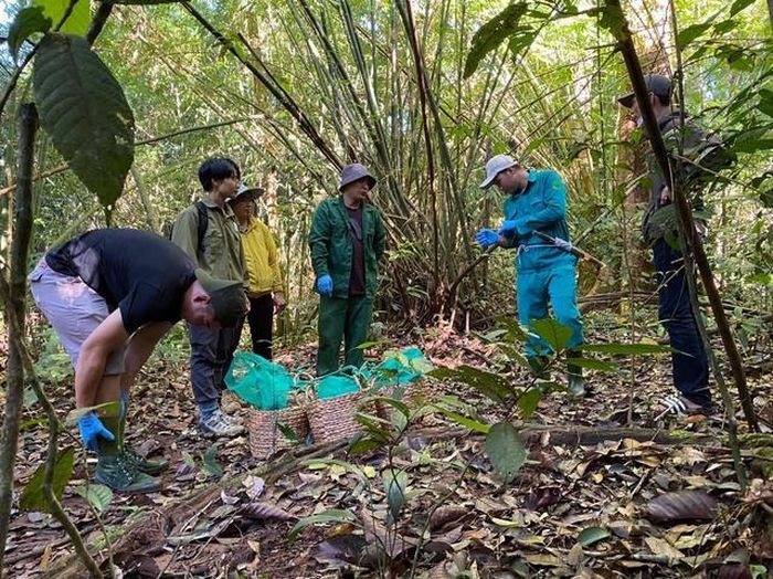 Tái thả 17 tê tê Java và 1 khỉ đuôi dài về tự nhiên ảnh 1