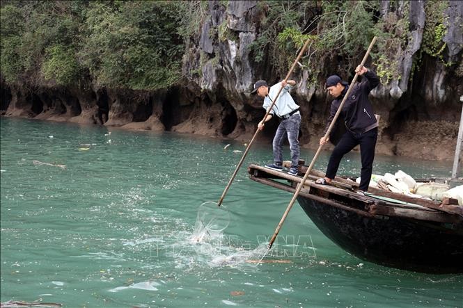 Thu gom rác thải, đảm bảo mỹ quan, môi trường trên Vịnh Hạ Long ​ ảnh 4