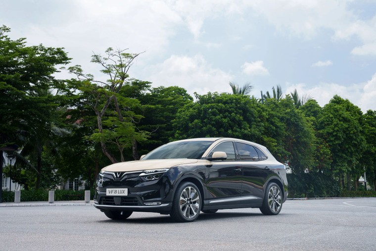 PSG TS Nguyễn Chu Hồi: Vingroup là hình mẫu tiên phong trong cuộc chiến giành lại bầu trời xanh cho Thủ đô ảnh 1