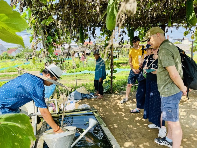 Du khách đến miền Trung tăng cao trong dịp lễ 30/4 - 1/5 ảnh 4