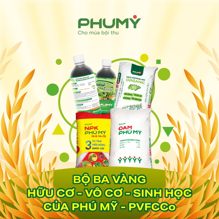 Bộ ba vàng vô cơ – hữu cơ – sinh học của Phú Mỹ - PVFCCo ảnh 1
