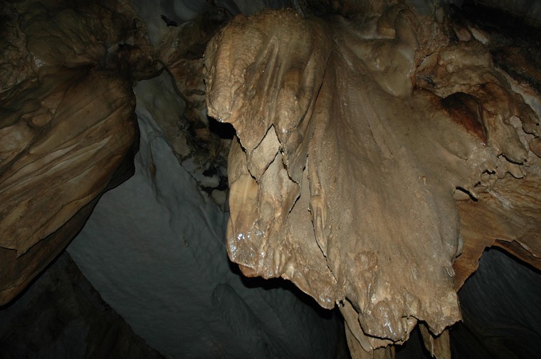 Vườn quốc gia Sông ngầm Puerto Princesa ảnh 6