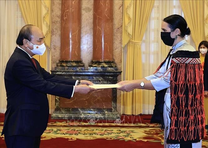 Chủ tịch nước Nguyễn Xuân Phúc tiếp các Đại sứ đến trình Quốc thư ảnh 9