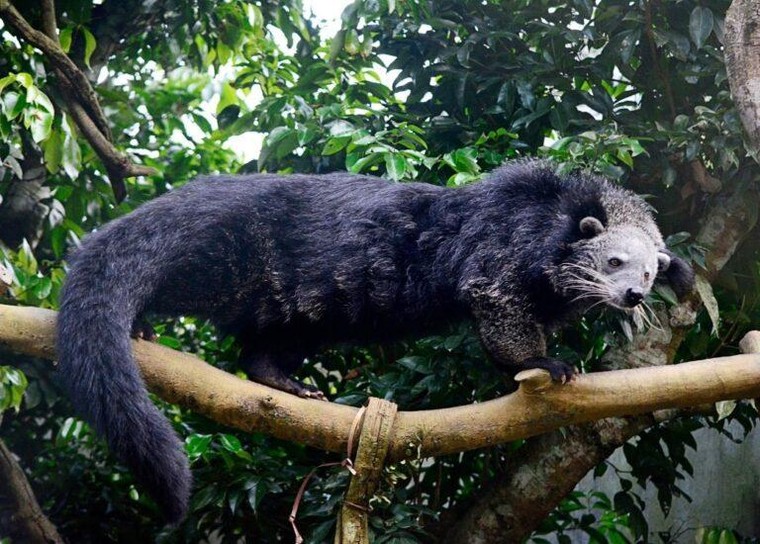 Nỗ lực vì tương lai Trái đất ảnh 3