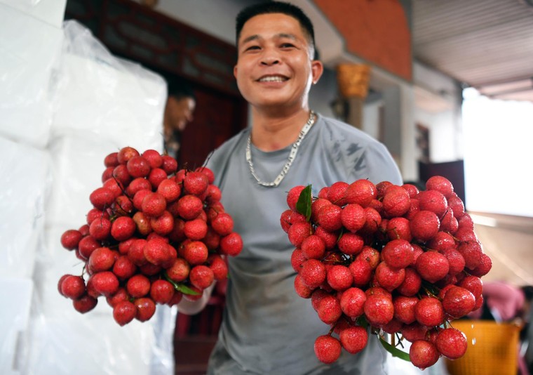 Xây dựng thương hiệu quả vải Việt Nam: Câu chuyện từ Bắc Giang ảnh 6