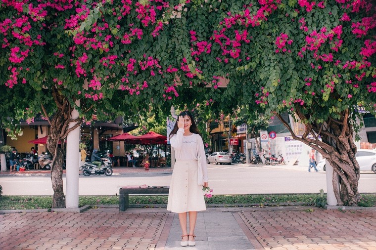 Hoa giấy Đà Nẵng: Thiên đường check-in của giới trẻ Đà thành ảnh 4