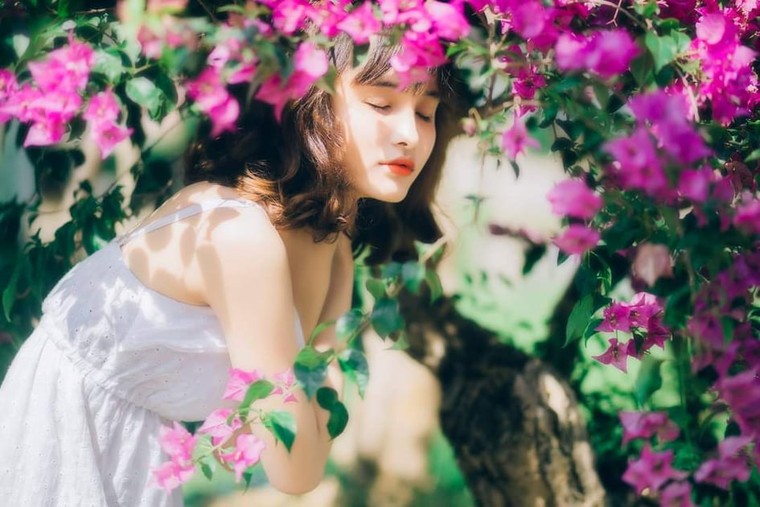 Hoa giấy Đà Nẵng: Thiên đường check-in của giới trẻ Đà thành ảnh 7