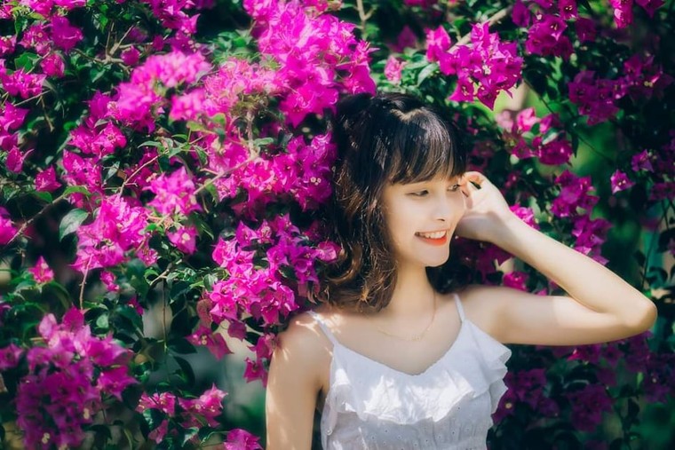 Hoa giấy Đà Nẵng: Thiên đường check-in của giới trẻ Đà thành ảnh 8