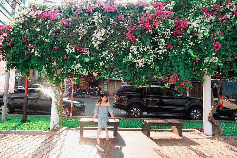 Hoa giấy Đà Nẵng: Thiên đường check-in của giới trẻ Đà thành ảnh 6