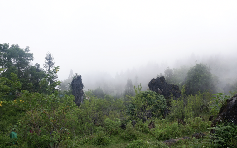 Lên đỉnh núi Hàm Rồng ngắm nhìn toàn cảnh thị trấn Sapa ảnh 2