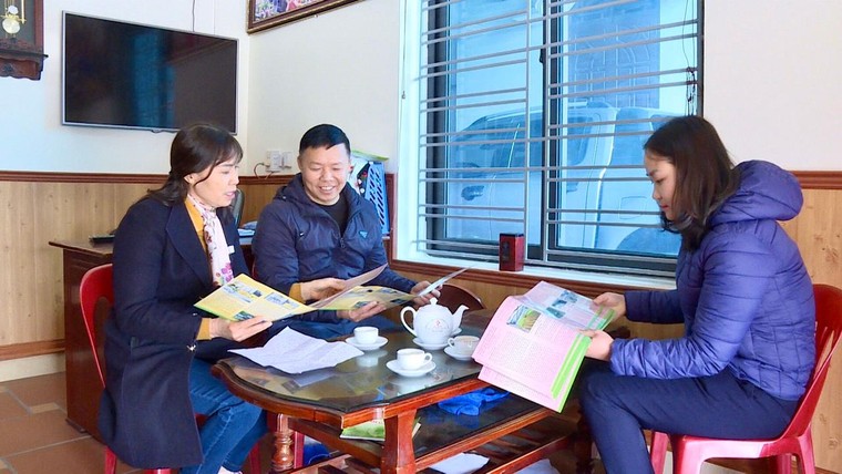 Chăm lo công tác cán bộ nữ ảnh 1