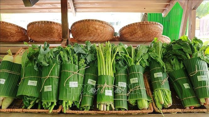 Phát triển kinh tế tuần hoàn là yêu cầu tất yếu của phát triển bền vững ảnh 1