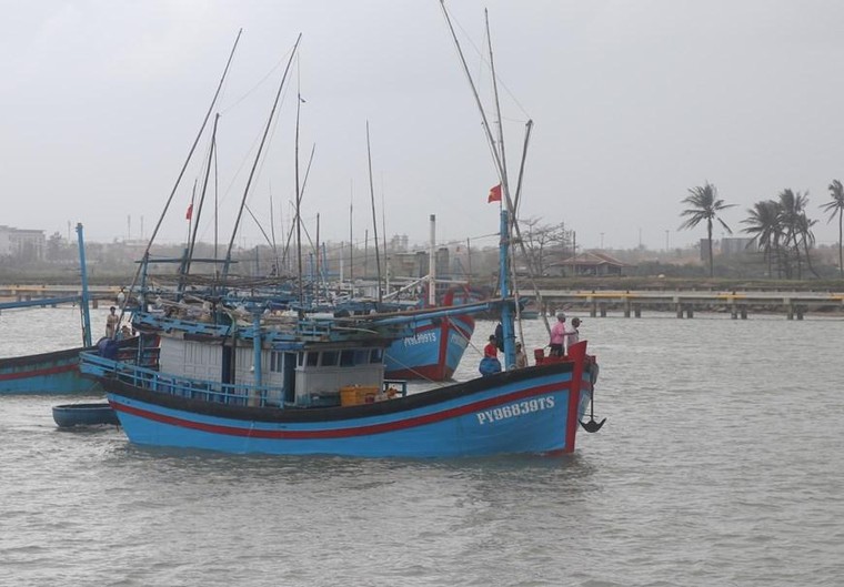 [Photo] Ngư dân vươn khơi đón Tết trên biển với mong ước cá đầy khoang ảnh 4