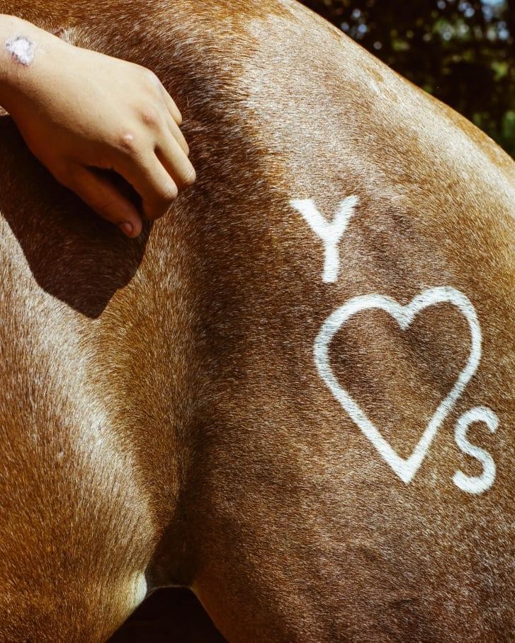 Cao bồi Mỹ gốc Phi qua bộ ảnh đầy chân thực ảnh 2