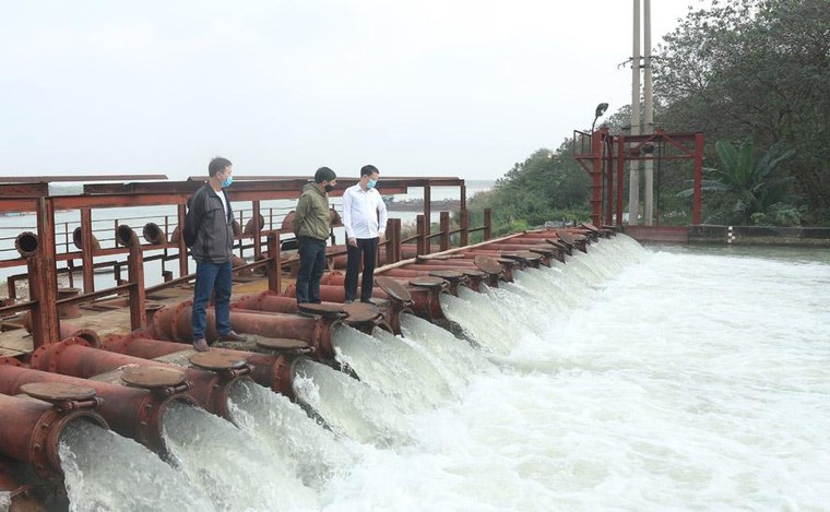 Sản xuất vụ xuân 2021 tại Hà Nội: Nỗ lực đạt thắng lợi ảnh 1