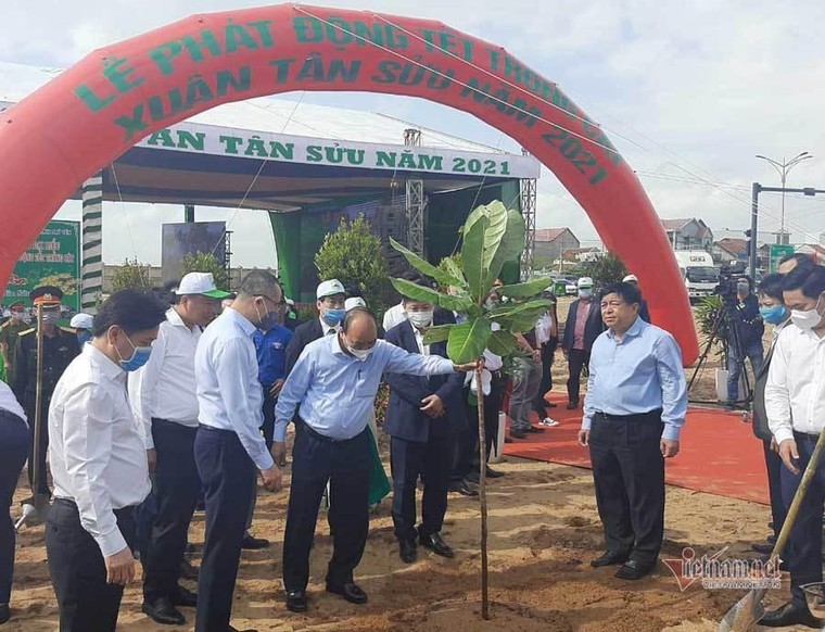 Thủ tướng phát động Tết trồng cây ở Phú Yên ảnh 1