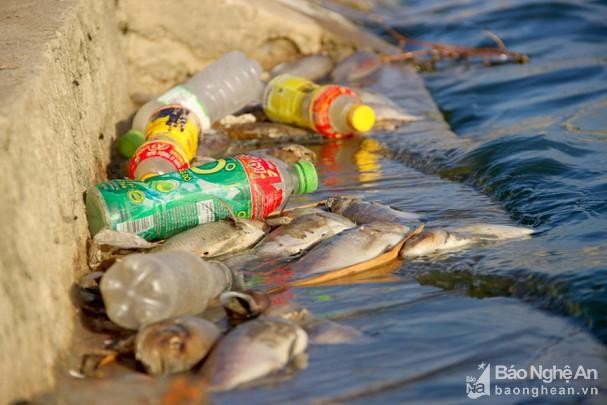 Nghệ An: Hàng loạt hồ điều hoà ô nhiễm nặng ảnh 2