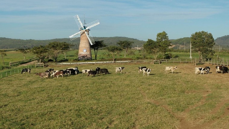 Cổ phiếu doanh nghiệp ESG trở thành “hầm trú ẩn” cho nhà đầu tư trong đại dịch Covid-19? ảnh 5