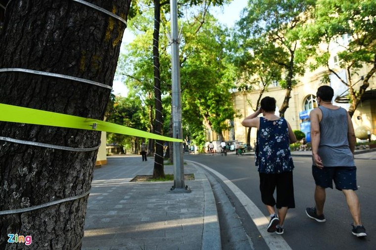 Hồ Tây, hồ Gươm đông người tập đạp xe, đi bộ ảnh 6