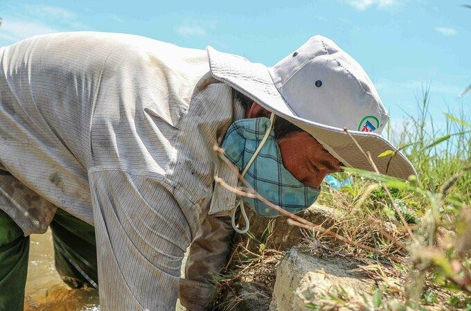 Cứu hơn 200 ha lúa cho ngôi làng đang phong tỏa ảnh 1