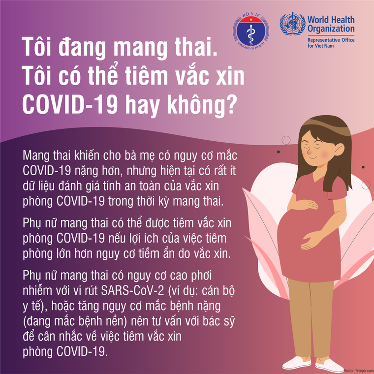Vaccine COVID-19 không ảnh hưởng tới khả năng sinh sản ảnh 2