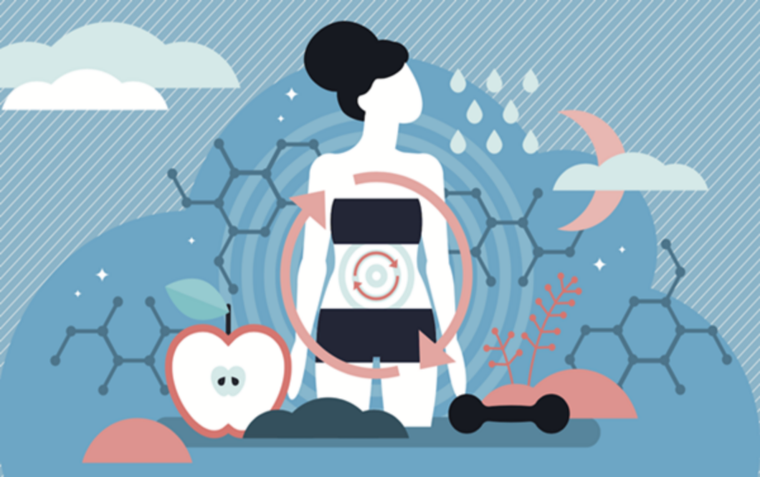 Những ngộ nhận về quá trình trao đổi chất ảnh 1