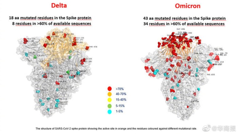 Liệu các loại vaccine hiện nay có thể ngăn chặn biến thể Omicron? ảnh 1