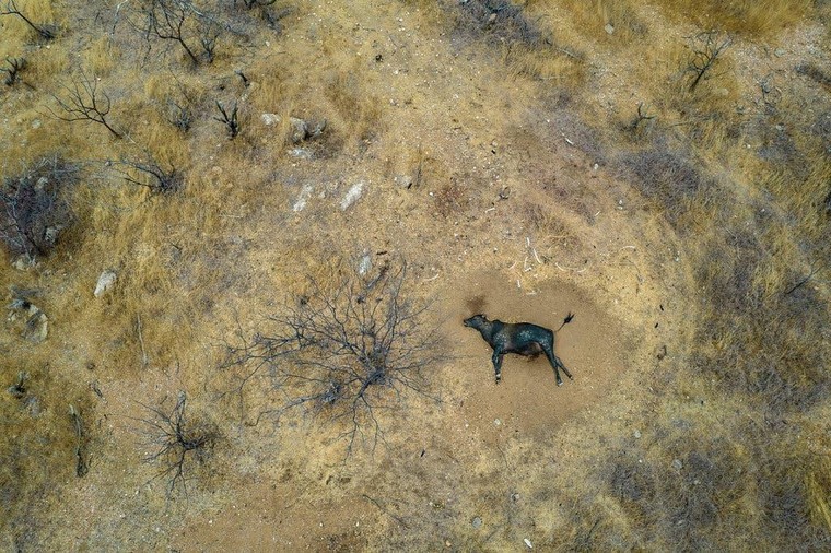 Con người ngày càng tụt lại trong cuộc chiến với biến đổi khí hậu ảnh 4